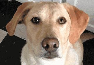 「笑多会怀孕」——一不小心滑了……