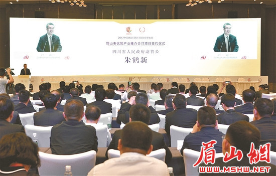 眉山市主导产业发展优势,眉山产业项目