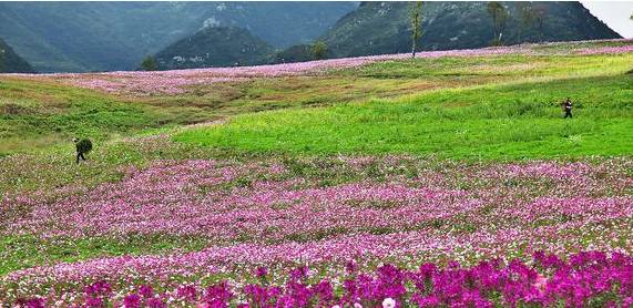 贵州黄果树瀑布千户苗寨旅游攻略,贵州千户苗寨黄果树瀑布旅游攻略