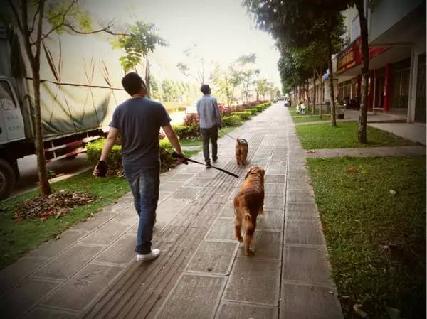 泰国清迈自驾游攻略,泰国到清迈自驾游最佳路线