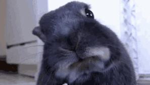 吧唧嘴的声音怎样消除,为什么讨厌吃饭吧唧嘴的声音