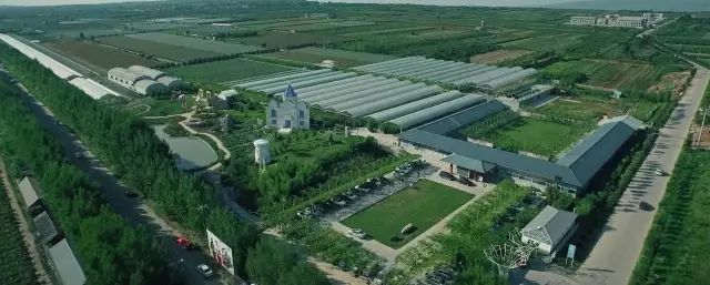 白鹿原葡萄主题公园,西安附近葡萄主题公园