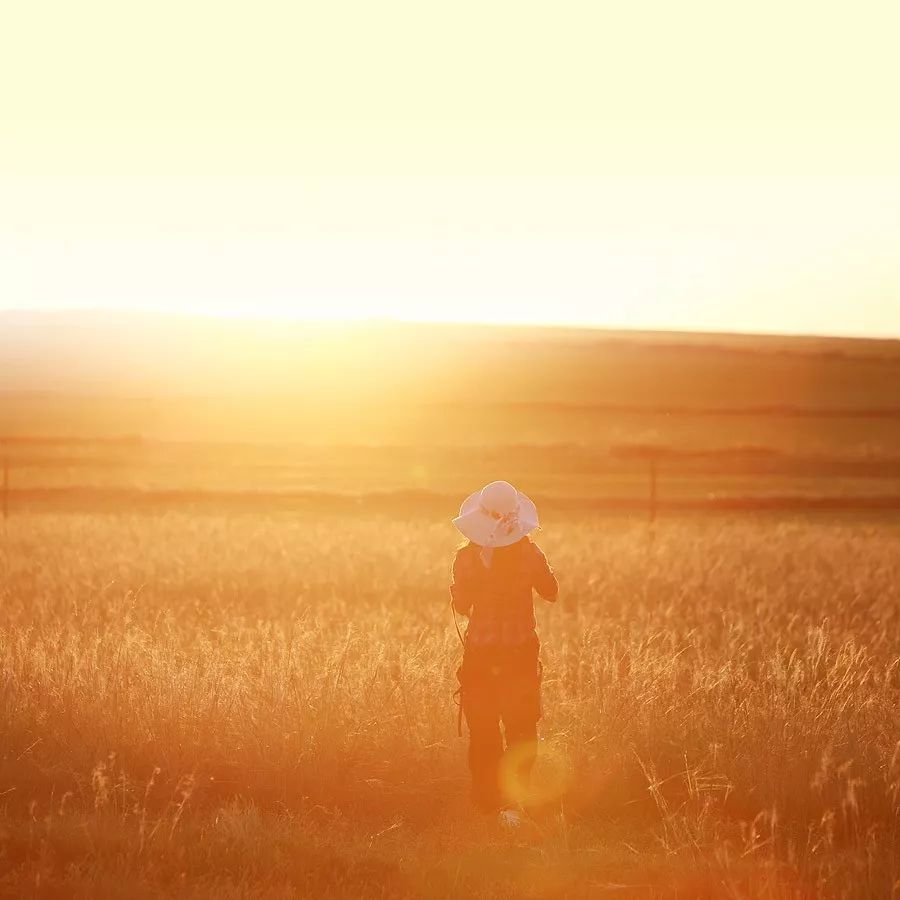 秋分,秋分早霜降迟