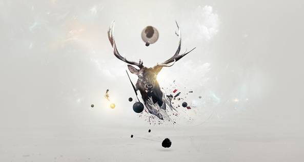 hr在未来一年的发展计划,hr转型3年了怎么办