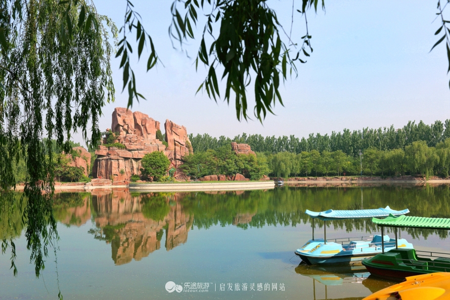 花朦胧雨朦胧鄢陵人17年倾情的花事