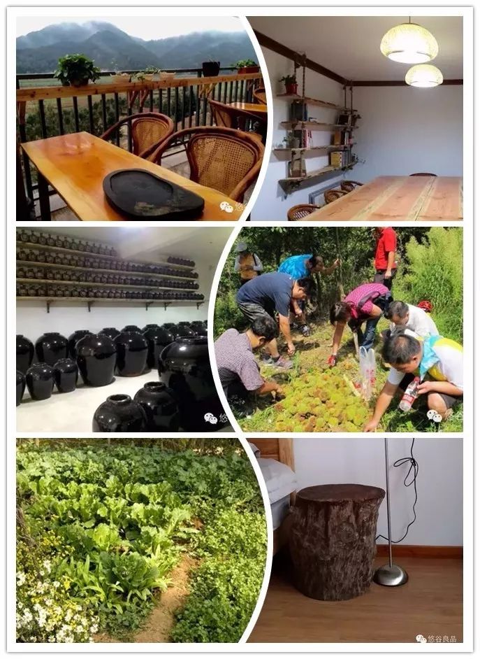 芜湖农家乐休闲度假,芜湖周边农家乐一日游推荐