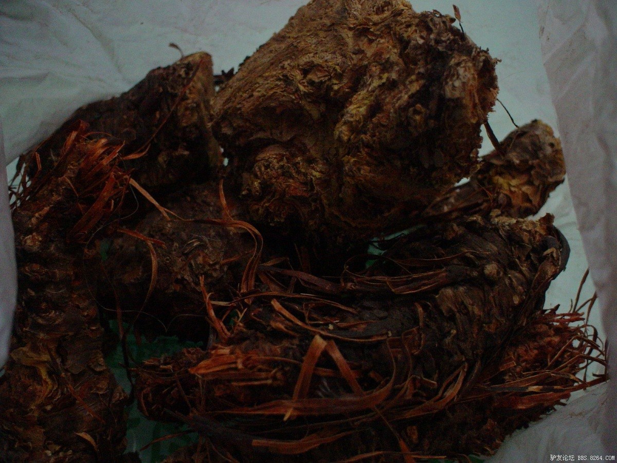 一个人一台车到西藏,一个人一辆车直通拉萨