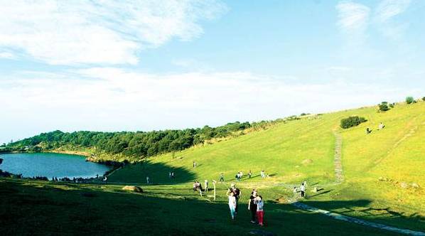 厉害了我区多家企业获省级殊荣,厉害了巢湖这个单位获国字号荣誉