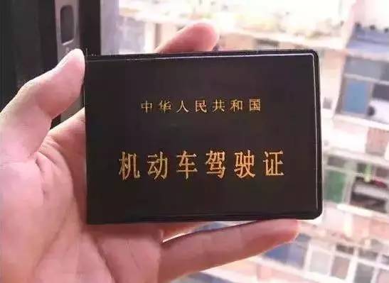 哈尔滨有什么挣钱的新项目求推荐,哈市挣钱的项目