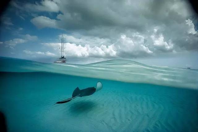 鍥藉鍦扮悊鏉傚織缇庡浘,鍥藉鍦扮悊鏉傚織楂樻竻澶у浘