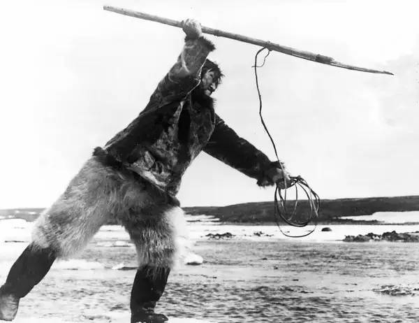 最好的纪录片都在这里了