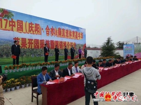 庆阳新闻今日消息,庆阳新闻重播