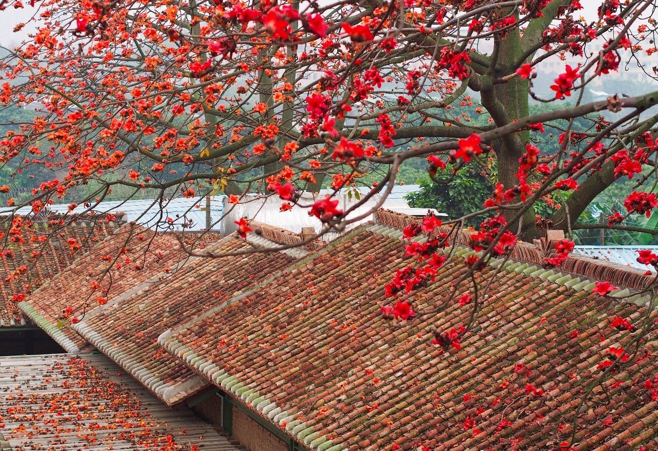 70后文艺大叔跑到这个“会吃福建人”的城市，用花砖、雪茄和伏特加，把废弃的修船厂变成最会撩妹的床