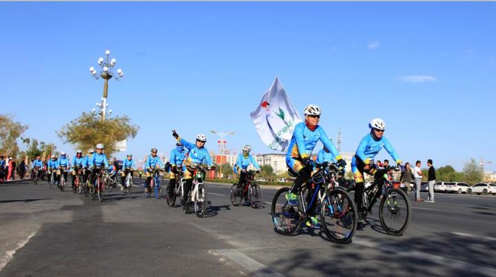 美丽的内蒙古额济纳胡杨林,恋上南山路美图