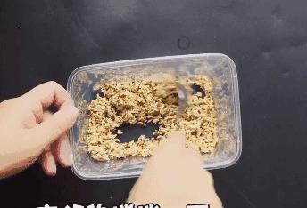 农村老鼠太多教你一招灭鼠的绝招,如何自制灭鼠最佳方法