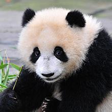 211旅游管理专业,211旅游管理专业毕业生现状