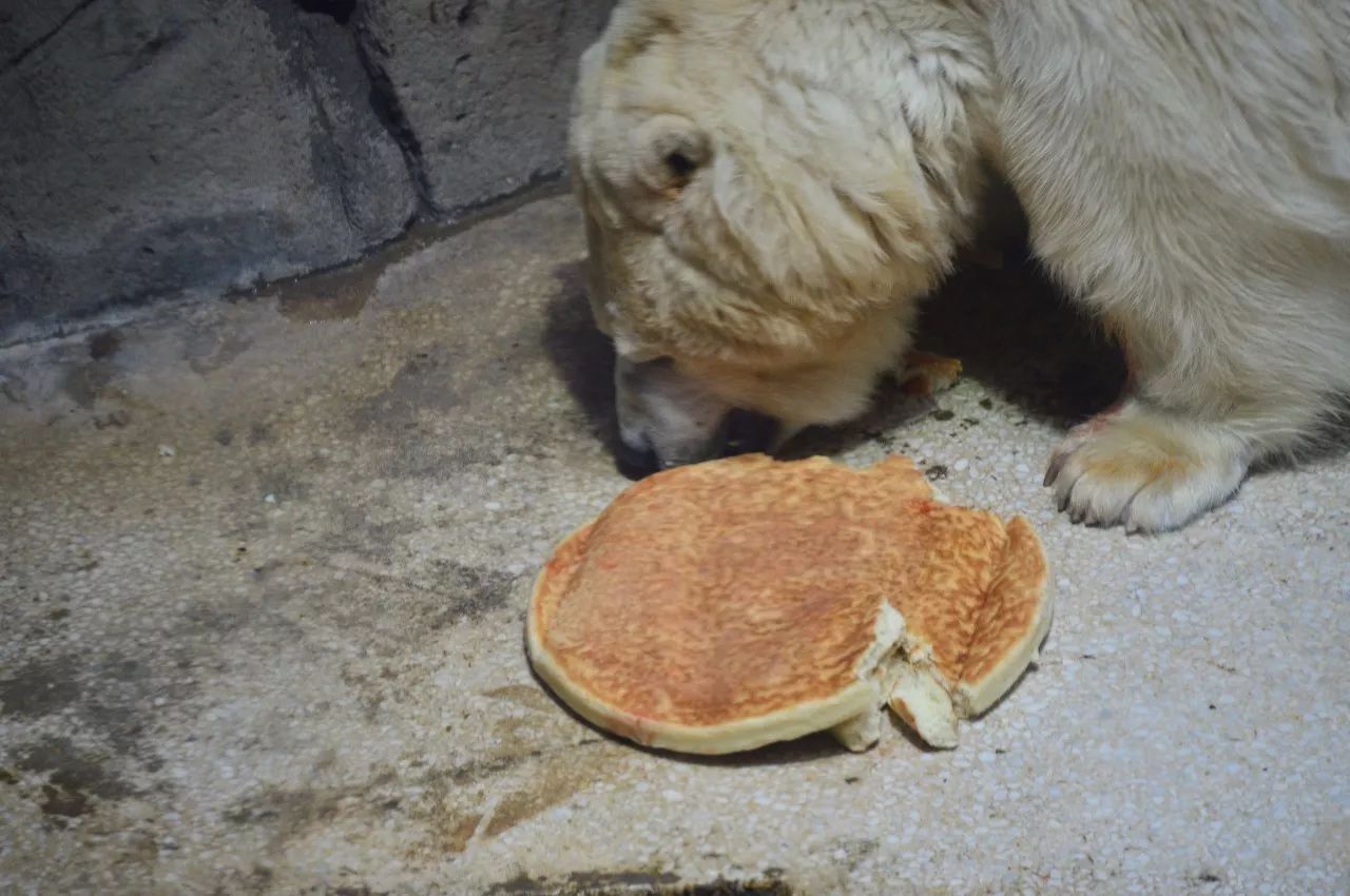 带大闸蟹被安检拦,一袋螃蟹就被安检拦住了