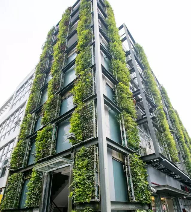 鹿晗和关晓彤的定情之作,鹿晗和关晓彤真的成为了情侣吗