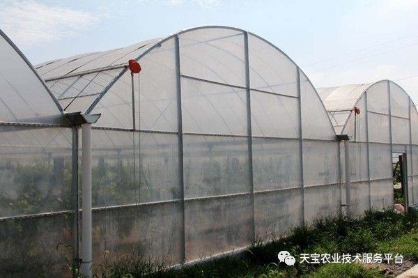 新型温室大棚哪种造价最低,温室大棚的种类及优点