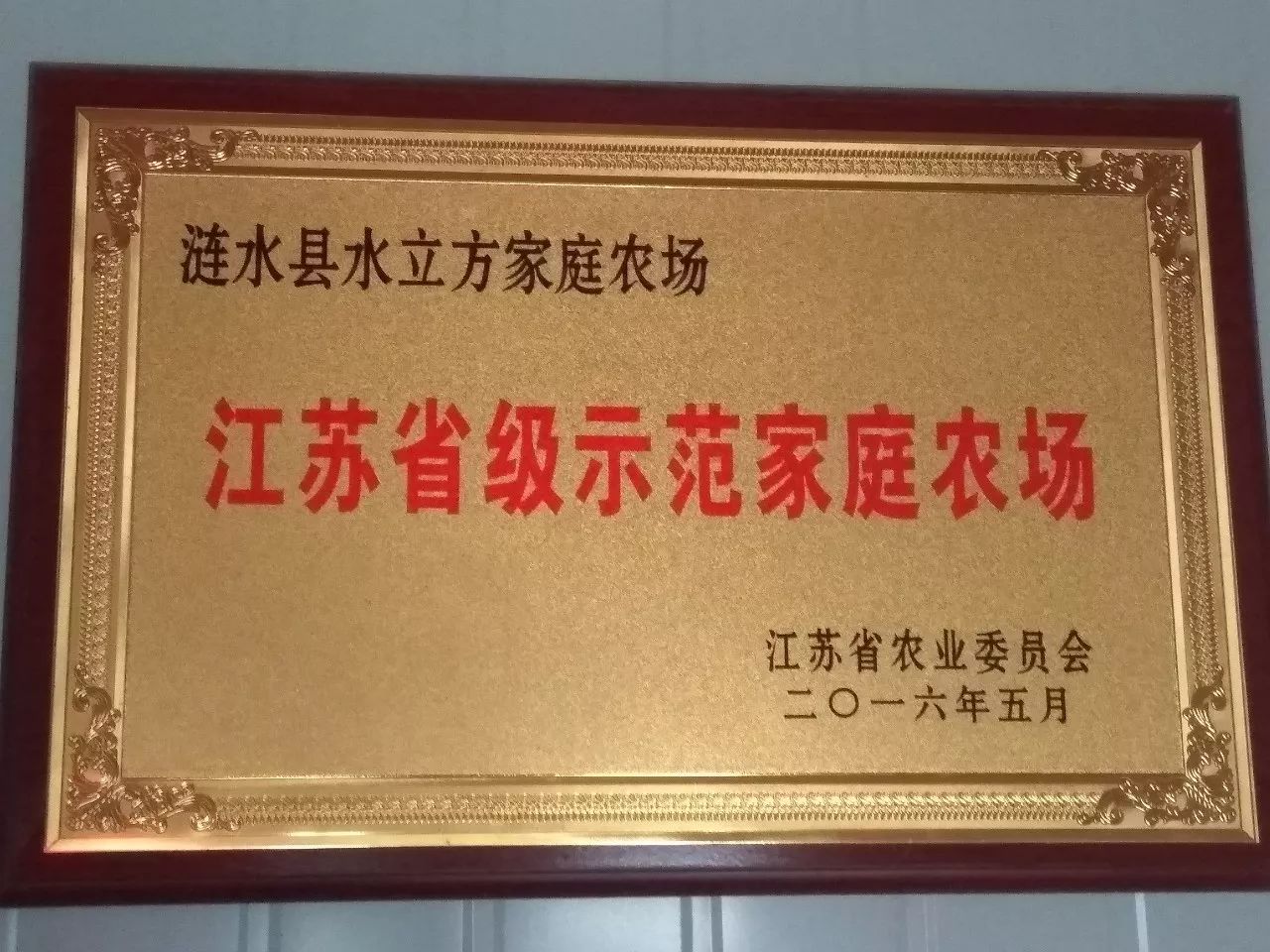 喜迎十九大创富英雄青春荣耀（十）｜创业致富“苏卜牌”富民壮村“水立方”