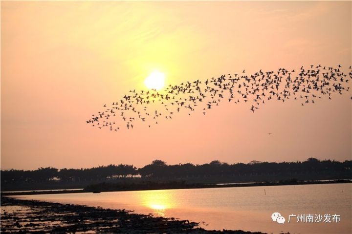 「关注」南沙举办“全球环境展望——世界环境科学家大会”招待会，还有精彩活动邀你参加！
