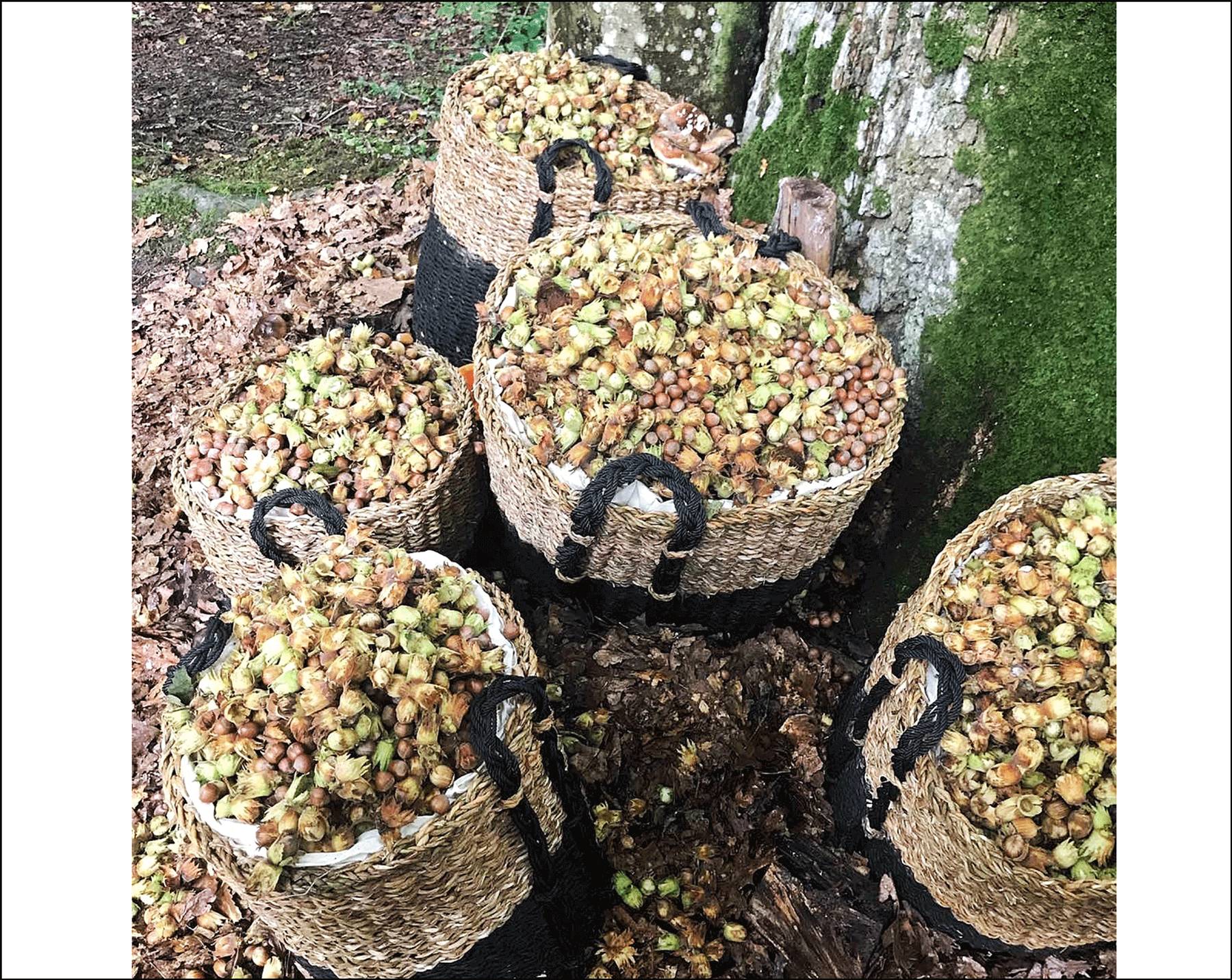 纽约春夏时装周穿搭,纽约时装周单品推荐