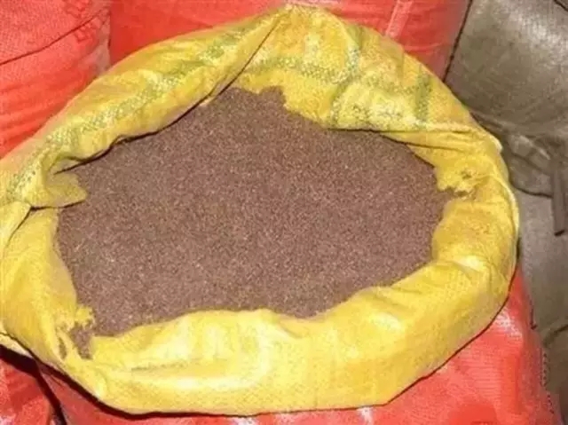 我是害虫！很多人却不认识我！