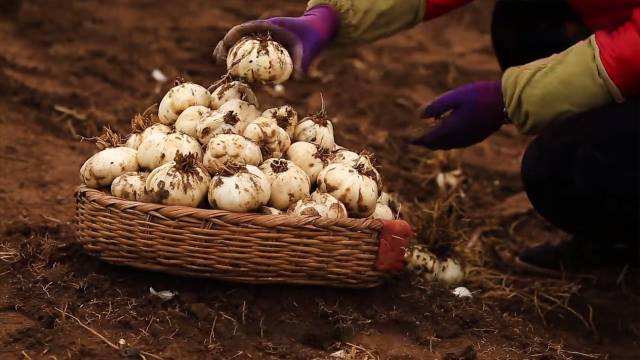 最简单滋阴的办法,干燥喝什么滋阴