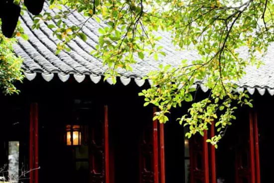 吃过桂花美食才不辜负江苏的秋天,苏州特色桂花