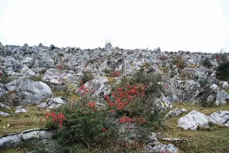 秋天必打卡的地方,石柱秋天打卡