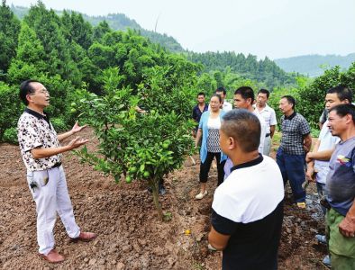 永不撤销的扶贫工作队,东场镇扶贫工作队
