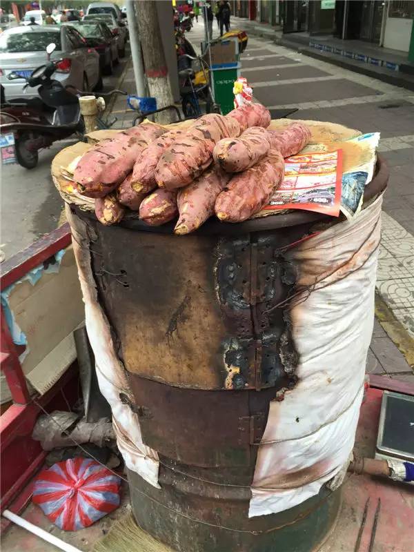 冬天来合阳，赏万顷芦荡，候鸟齐飞（组图）