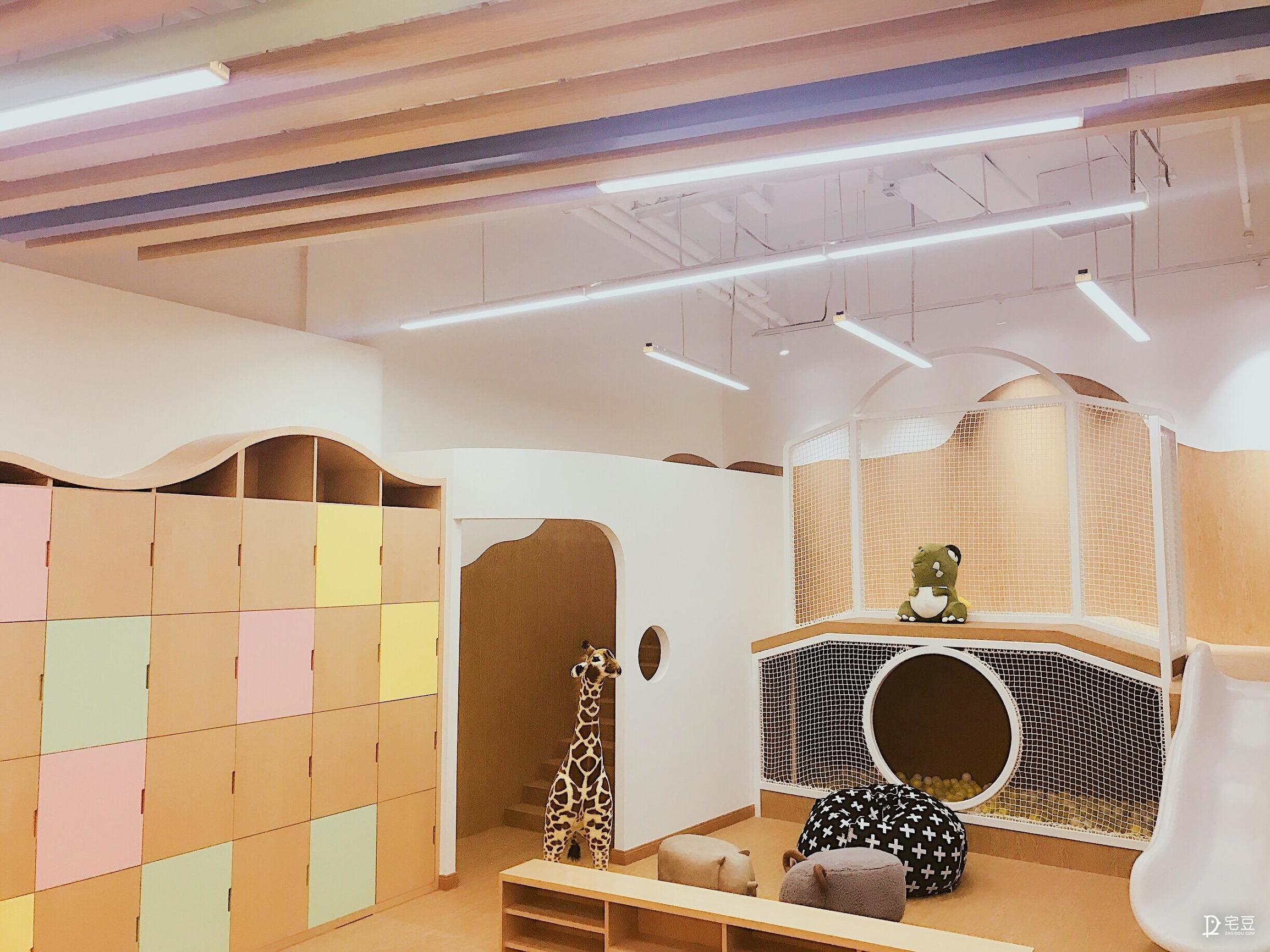 原始森林？动物园？银河系？托儿中心大改造