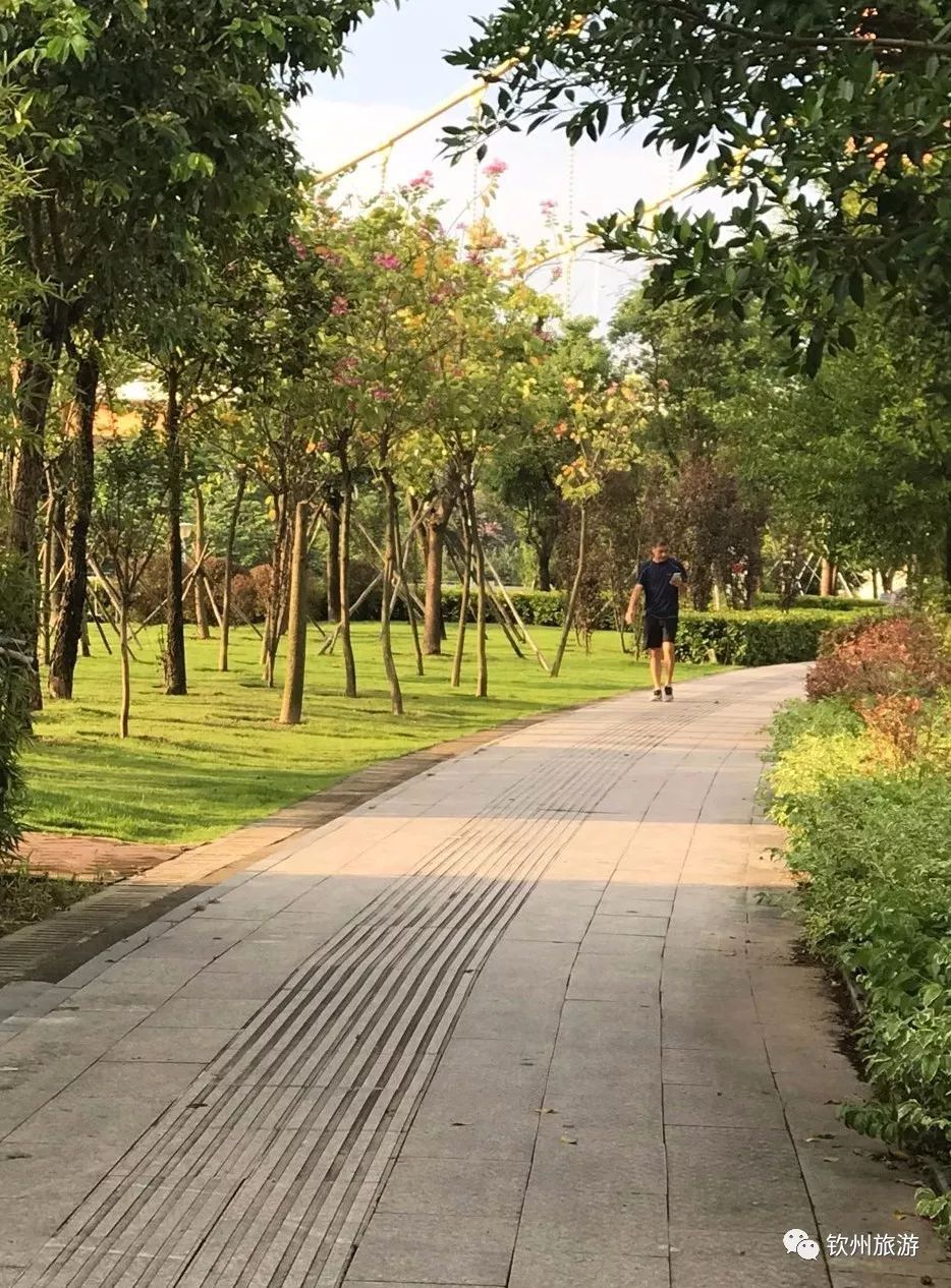 閽﹀窞璺戞璺嚎,閽﹀窞涓北鍏洯璺戞