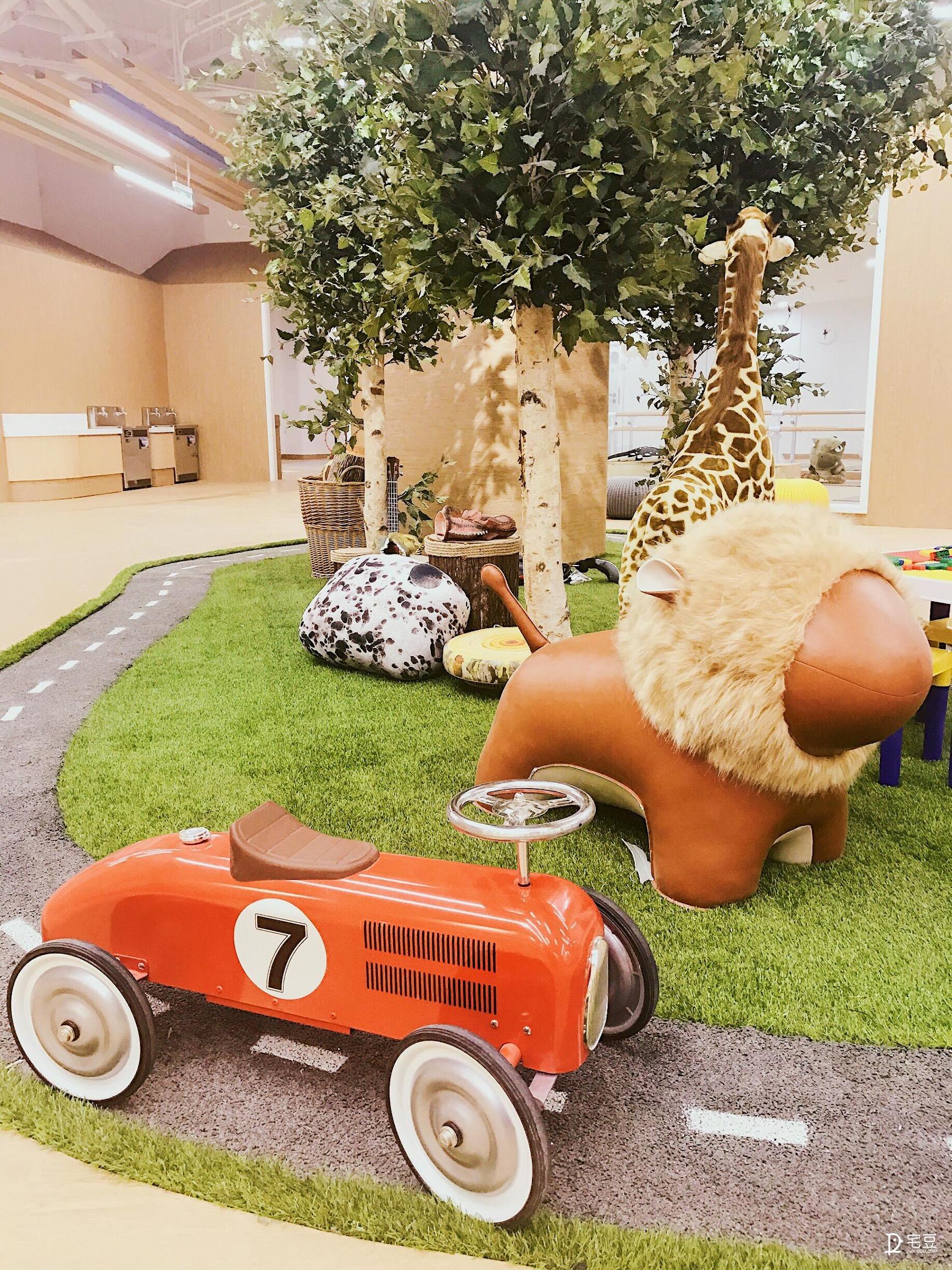 原始森林？动物园？银河系？托儿中心大改造