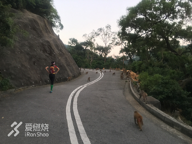 凯乐石goretex系列,凯乐石fuga2.0新款