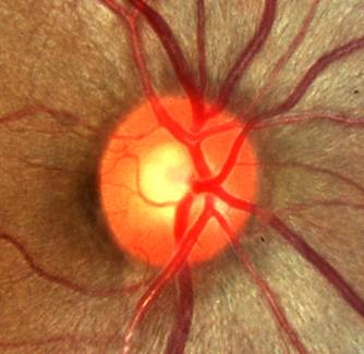 对不起，我又把杯盘比的事讲得这么俗