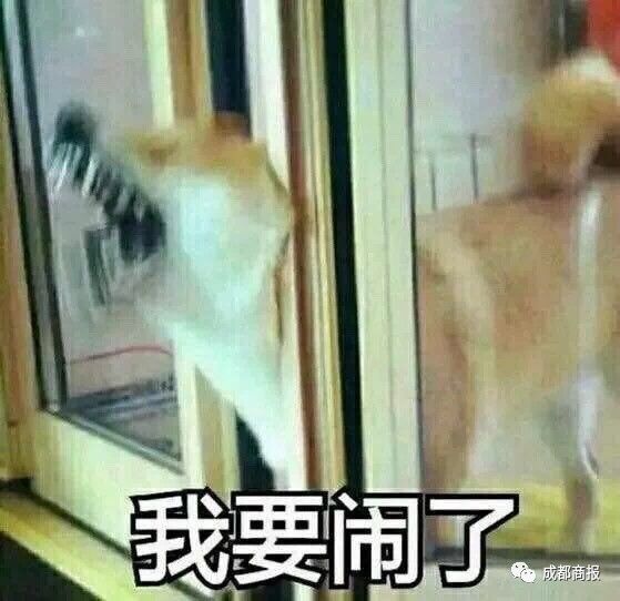 今年双11不行,今年的双11太难了