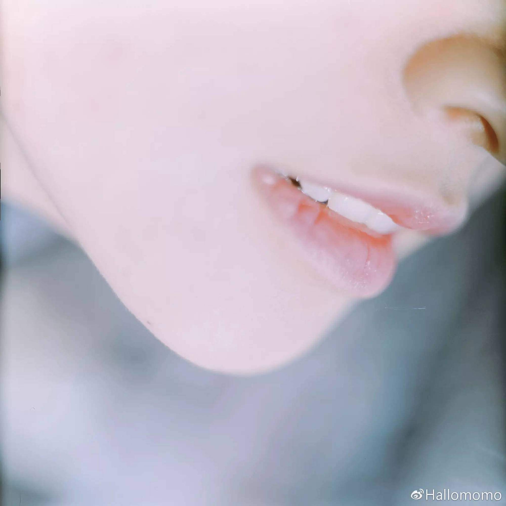 中画幅胶片机推荐,有哪些值得买的胶片机