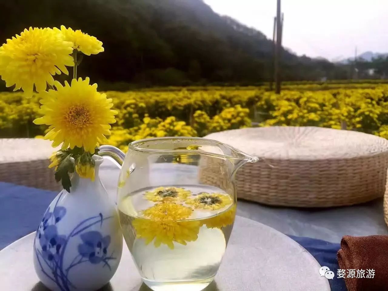 婺源举办茶文化旅游节,婺源茶文化节