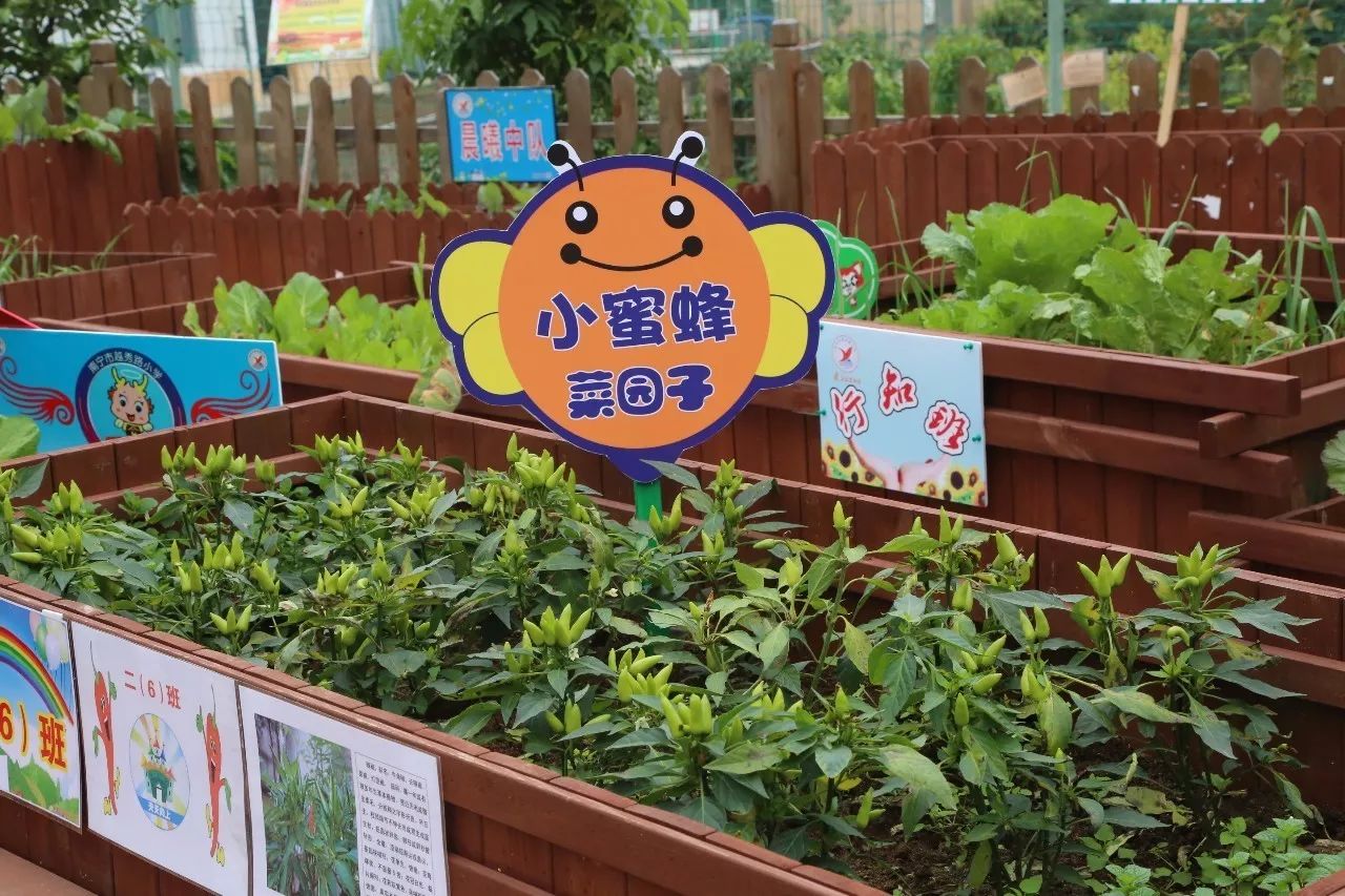 青秀喜迎十九大·说说我家这五年——青秀人的心声（四）