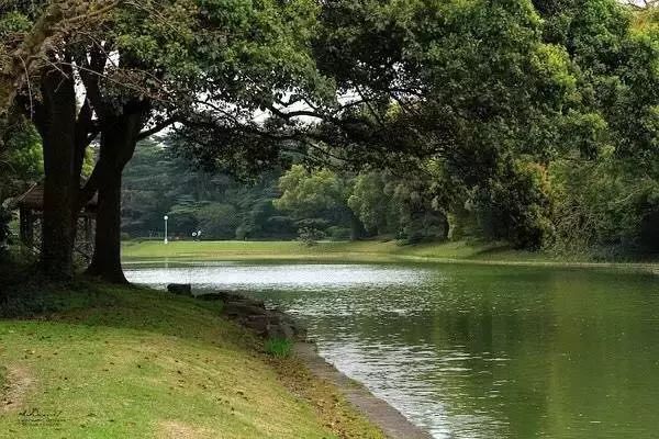 「居行」3个体育产业集聚区将落户浦东,快来看有你家附近的么→