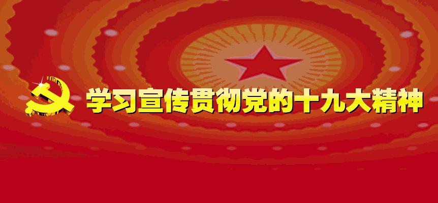 河源市市直中小学足球,河源足球学校有哪些