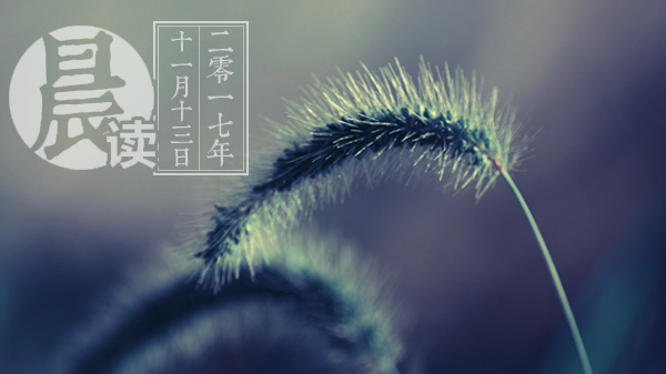 伊拉克地震最新信息,伊拉克地震新消息