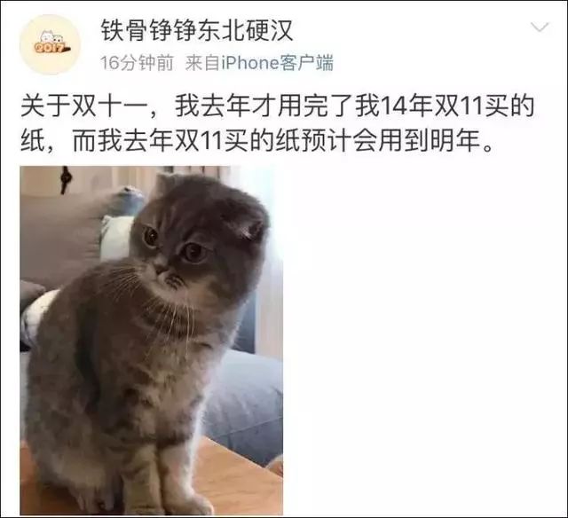 天津双11必买清单 (天津双11最值得买的东西)