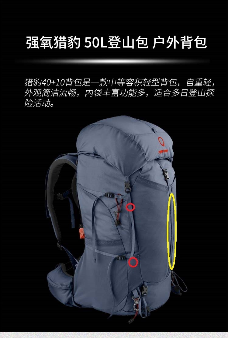 强氧巡游和猎豹的区别,强氧巡游跟强氧猎豹有何区别