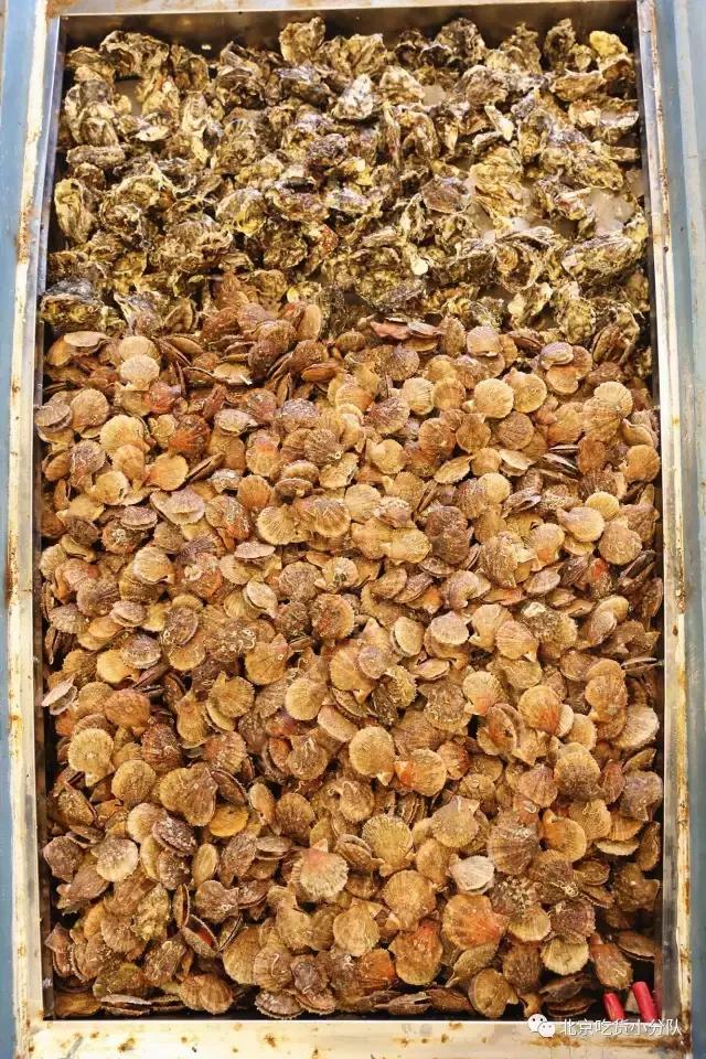 三里屯的豪放派海鲜，直接把渔船搬进了店