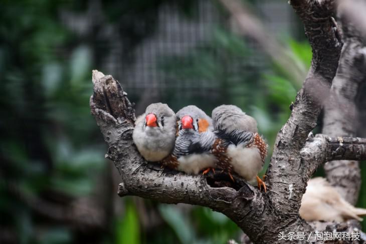 尼康d7500属于什么级别的单反,尼康d7500各种环境下的拍摄参数