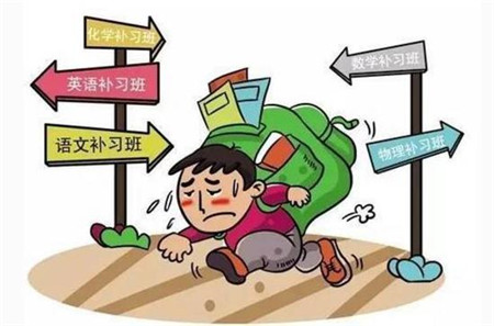 共享教育会取代私教吗,共享教育怎么运营