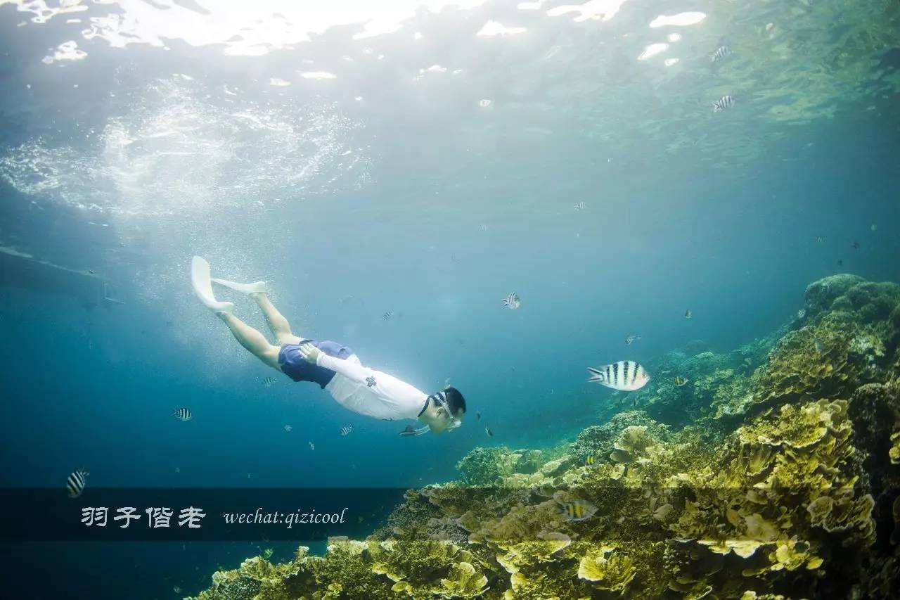 帕劳旅游发展的前景,去帕劳注意事项和必备品